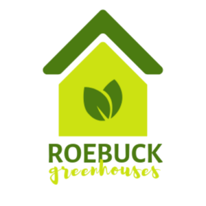 Roebuck